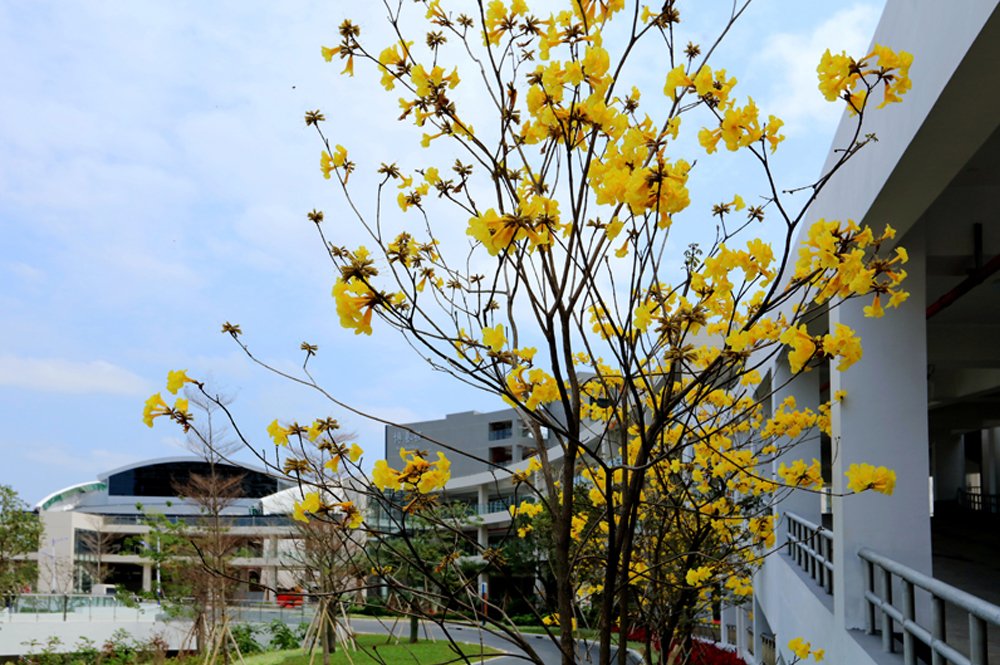 West Campus